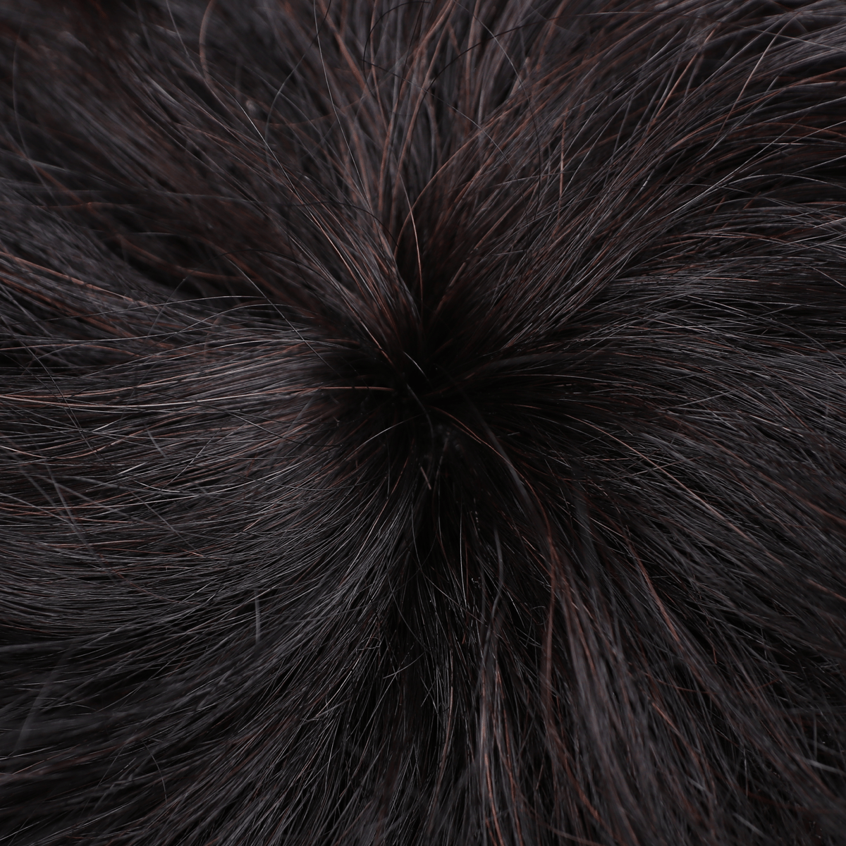 Siyah Küt-Kısa Boy Kıvırcık Standart Tepelik - Görsel 4